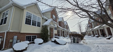 (private lake, pond, creek) Townhome/Townhouse For Sale in Joliet Illinois