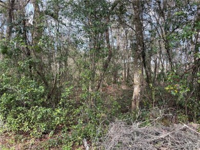 (private lake, pond, creek) Lot For Sale in Inverness Florida