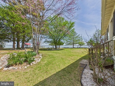Welcome to your waterfront escape on the point of St. George - photo 8
