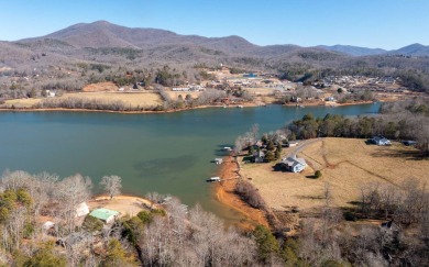 Lake Acreage For Sale in Hiawassee, Georgia