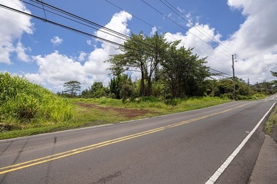 Opportunity to own an improved 3-acre parcel in East Hawaii with - photo 3