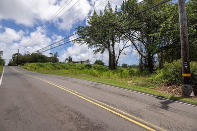 Opportunity to own an improved 3-acre parcel in East Hawaii with - photo 5