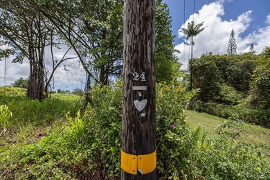 Opportunity to own an improved 3-acre parcel in East Hawaii with - photo 6