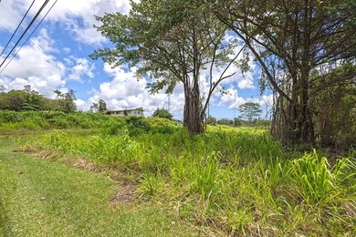 Opportunity to own an improved 3-acre parcel in East Hawaii with - photo 8