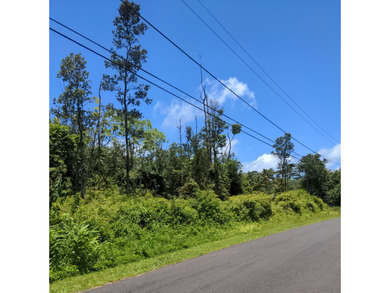 Wooded property with small trees on paved road in Leilani - photo 1