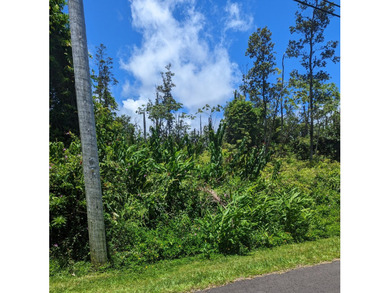 Wooded property with small trees on paved road in Leilani - photo 2