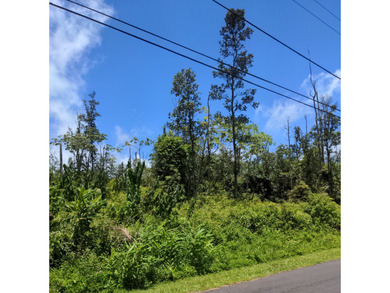 Wooded property with small trees on paved road in Leilani - photo 3