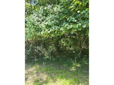 Don't miss this exceptional opportunity to own a beautiful lot - photo 3