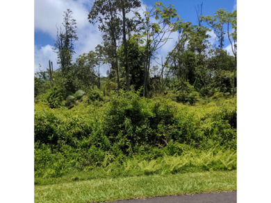 Wooded property with small trees on paved road in Leilani - photo 4