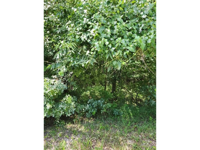 Don't miss this exceptional opportunity to own a beautiful lot - photo 4