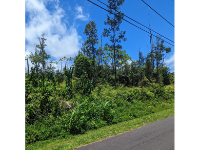 Wooded property with small trees on paved road in Leilani - photo 5