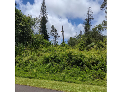 Wooded property with small trees on paved road in Leilani - photo 6