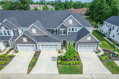Why wait to build? This exceptional 2023 townhome offers over - photo 6