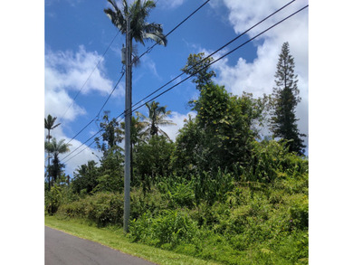 Wooded property with small trees on paved road in Leilani - photo 7