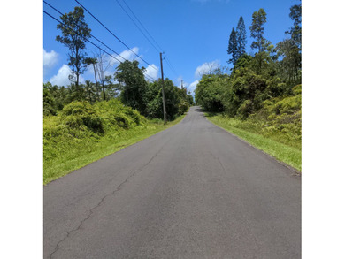 Wooded property with small trees on paved road in Leilani - photo 9