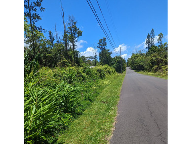 Wooded property with small trees on paved road in Leilani - photo 10
