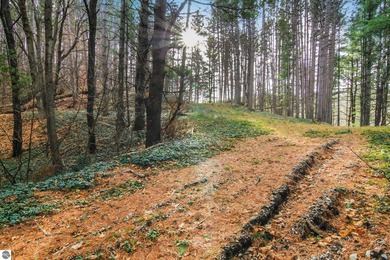 (private lake, pond, creek) Acreage For Sale in Traverse City Michigan