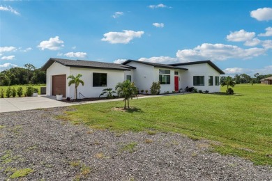Lake Home For Sale in Tavares, Florida