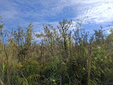 A CHOICE 3 ACRE SQUARE LOT APPROXIMATE 348 FT BY 375 FT WITH - photo 2