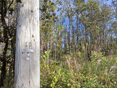 A CHOICE 3 ACRE SQUARE LOT APPROXIMATE 348 FT BY 375 FT WITH - photo 3