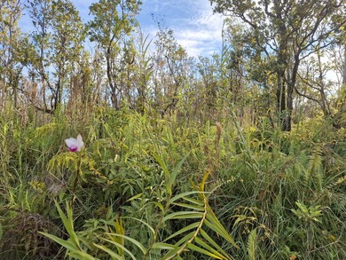 A CHOICE 3 ACRE SQUARE LOT APPROXIMATE 348 FT BY 375 FT WITH - photo 4