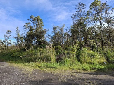A CHOICE 3 ACRE SQUARE LOT APPROXIMATE 348 FT BY 375 FT WITH - photo 5