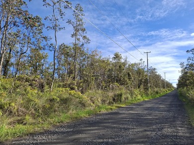 A CHOICE 3 ACRE SQUARE LOT APPROXIMATE 348 FT BY 375 FT WITH - photo 6