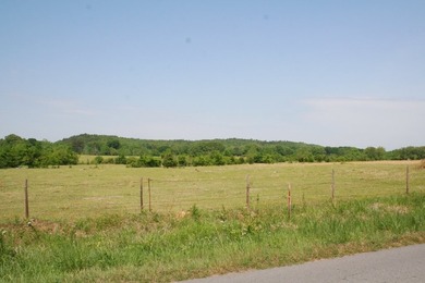 Prime Commercial Land For Sale! Located between Meadows - photo 2