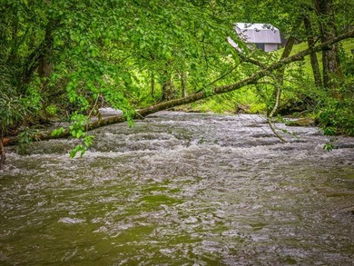 Tucked away on 3.3 acres of private, wooded serenity along 550 - photo 2