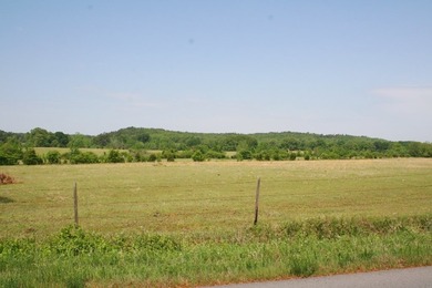 Prime Commercial Land For Sale! Located between Meadows - photo 3