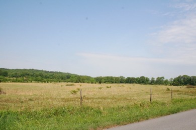 Prime Commercial Land For Sale! Located between Meadows - photo 4