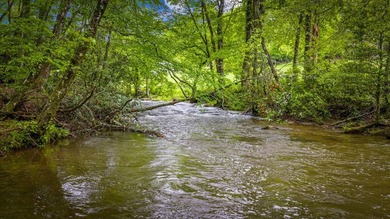 Tucked away on 3.3 acres of private, wooded serenity along 550 - photo 4