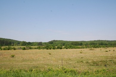 Prime Commercial Land For Sale! Located between Meadows - photo 5
