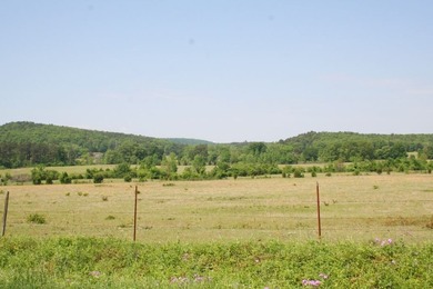 Prime Commercial Land For Sale! Located between Meadows - photo 6