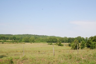 Prime Commercial Land For Sale! Located between Meadows - photo 8