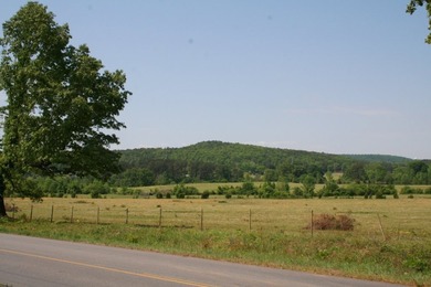 Prime Commercial Land For Sale! Located between Meadows - photo 9