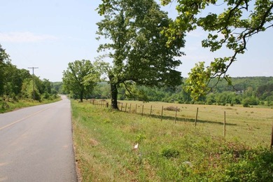 Prime Commercial Land For Sale! Located between Meadows - photo 10