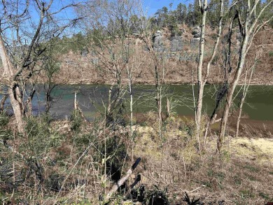 Lake Lot For Sale in Norfork, Arkansas