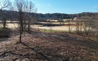 Lake Nottely Lot Active Under Contract in Blairsville Georgia