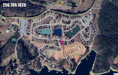 Welcome to the Premier RV Resort on Smith Lake!

Experience - photo 1