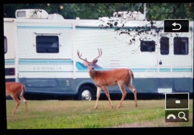 20 Acres-Evart Schools-3 Bedroom one bath remodeled 1900 range - photo 4