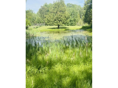 20 Acres-Evart Schools-3 Bedroom one bath remodeled 1900 range - photo 8
