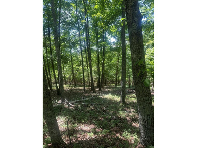 Welcome to this lovely 3-acre lot located in the highly - photo 1