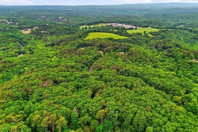 Welcome to this lovely 3-acre lot located in the highly - photo 2