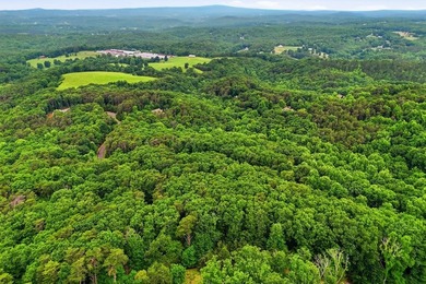 Welcome to this lovely 3-acre lot located in the highly - photo 3
