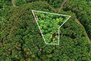 Welcome to this lovely 3-acre lot located in the highly - photo 4
