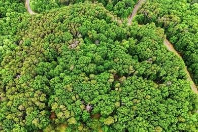 Welcome to this lovely 3-acre lot located in the highly - photo 5