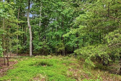 Welcome to this lovely 3-acre lot located in the highly - photo 6