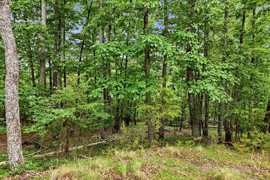 Welcome to this lovely 3-acre lot located in the highly - photo 7