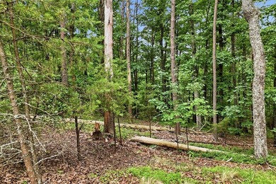 Welcome to this lovely 3-acre lot located in the highly - photo 8